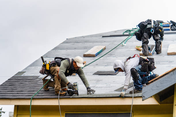 Professional Gutter Installation technician working in Collegeville, MN